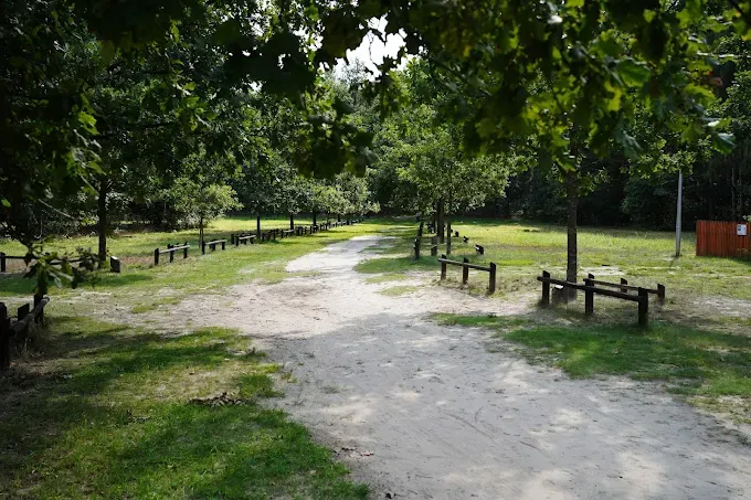 Ścieżka dydaktyczna Skrajem puszczy