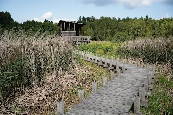 Ścieżka dydaktyczna Skrajem puszczy