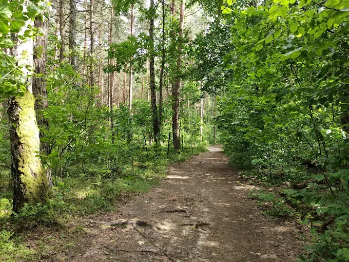 Ścieżka dydaktyczna „Do Karczmiska”