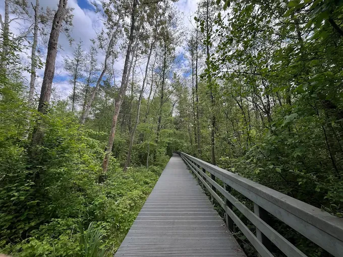 Ścieżka dydaktyczna „Do Karczmiska”