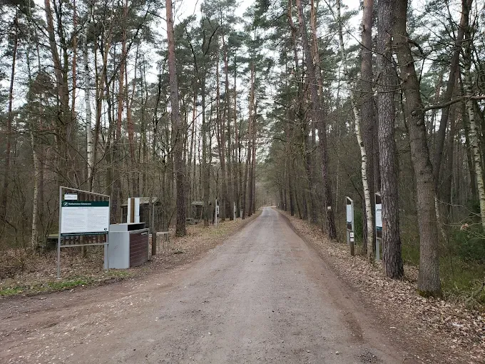 Torfowisko Goździkowe Bagno