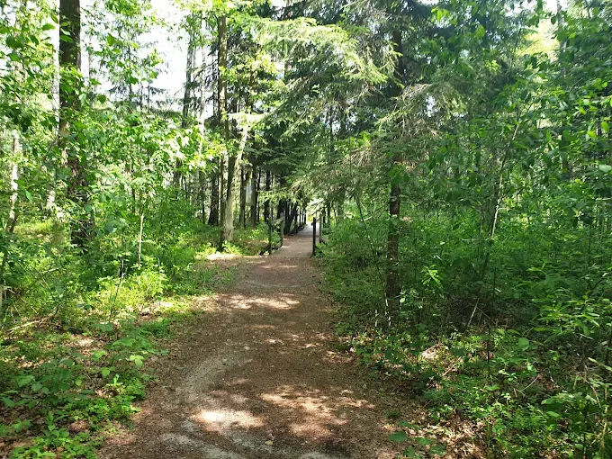 Torfowisko Goździkowe Bagno