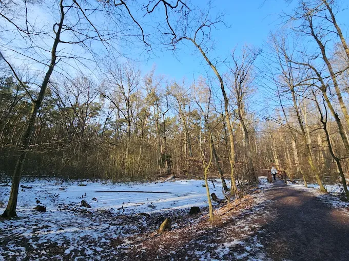 Las Kabacki im. Stefana Starzyńskiego
