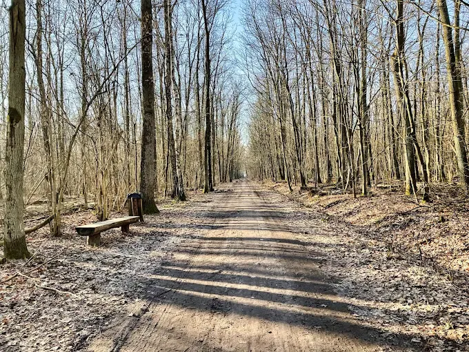 Las Kabacki im. Stefana Starzyńskiego