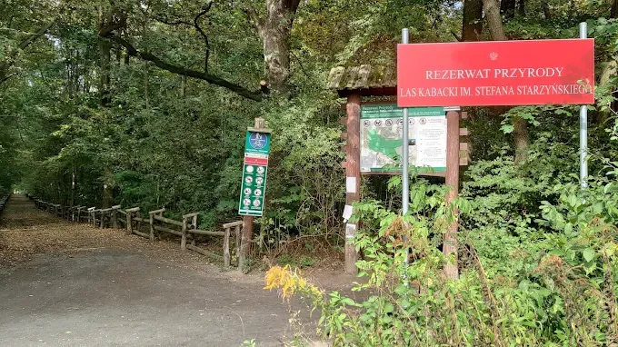 Las Kabacki im. Stefana Starzyńskiego
