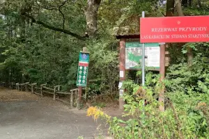 Las Kabacki im. Stefana Starzyńskiego