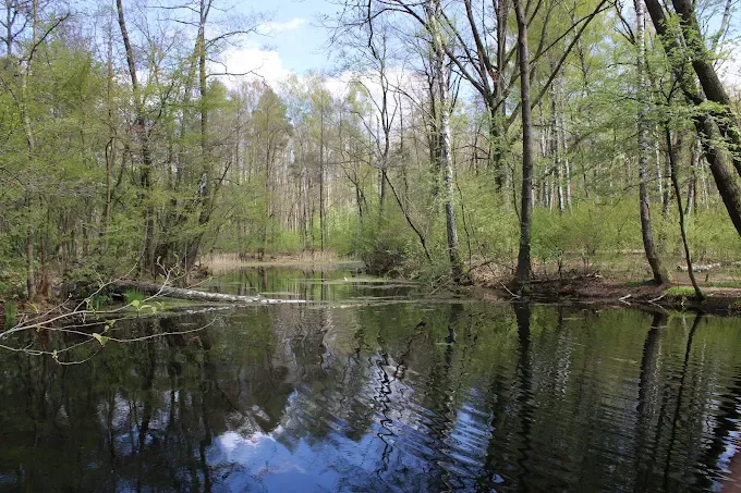 Rezerwat Przyrody Jeziorko Opaleń