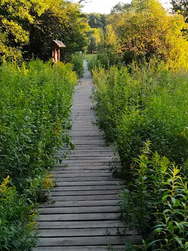 Rezerwat Przyrody Jeziorko Opaleń