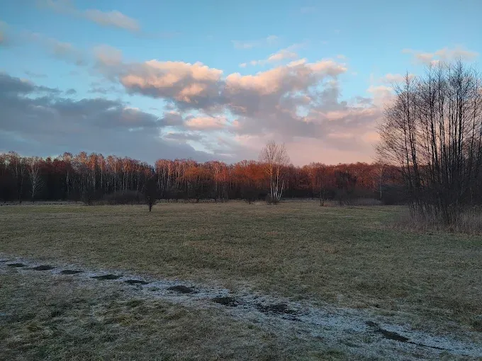 Rezerwat Przyrody Jeziorko Opaleń