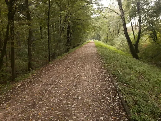 Uroczysko Las Młociny