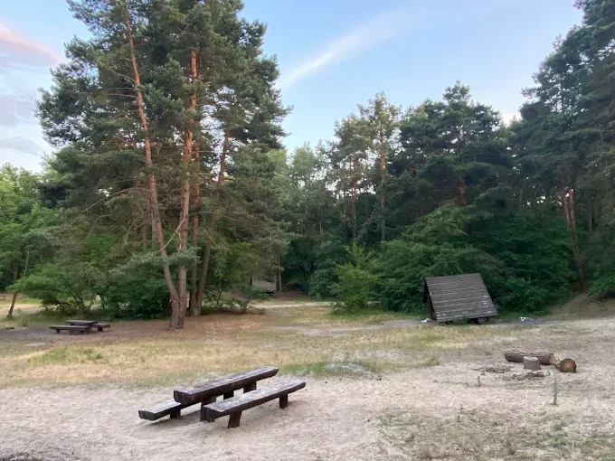 Uroczysko Las Młociny