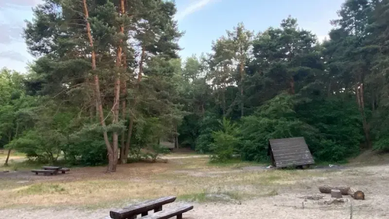 Uroczysko Las Młociny