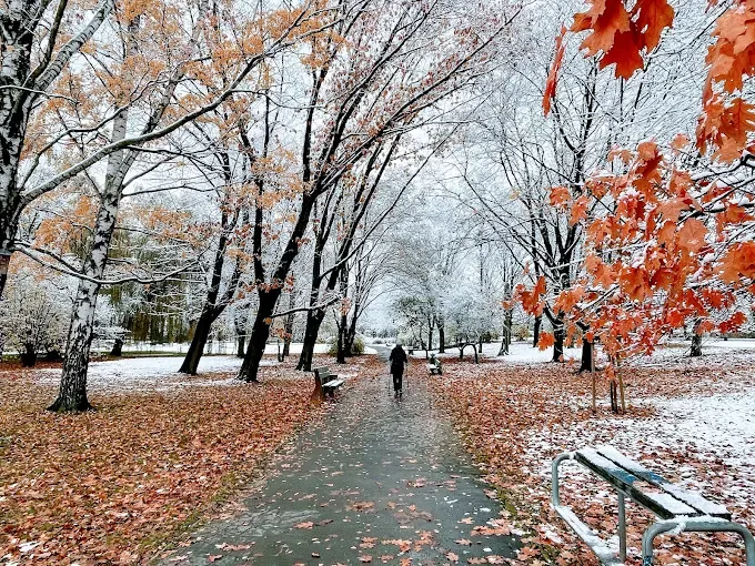 Kamionkowskie Błonia Elekcyjne w Warszawie