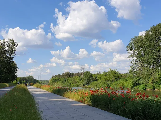 Ścieżka nad kanałem.