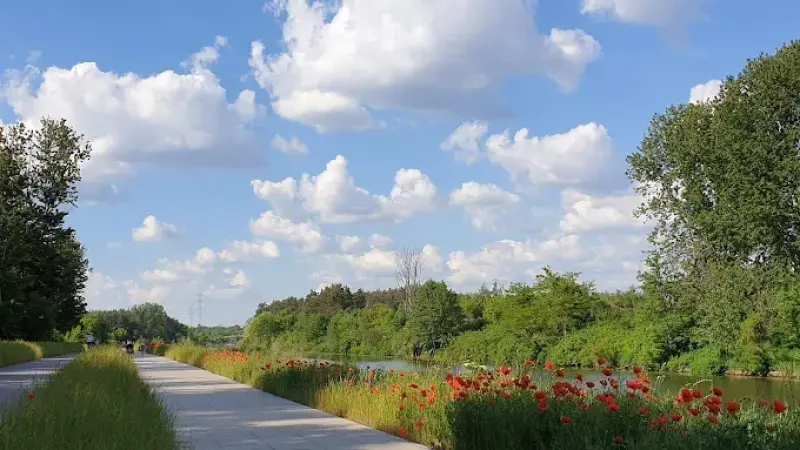 Ścieżka nad kanałem.