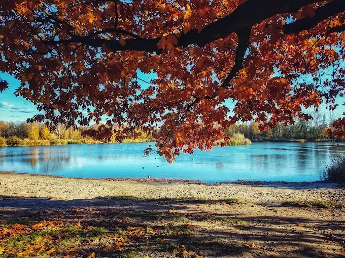 Glinianki w Zielonce