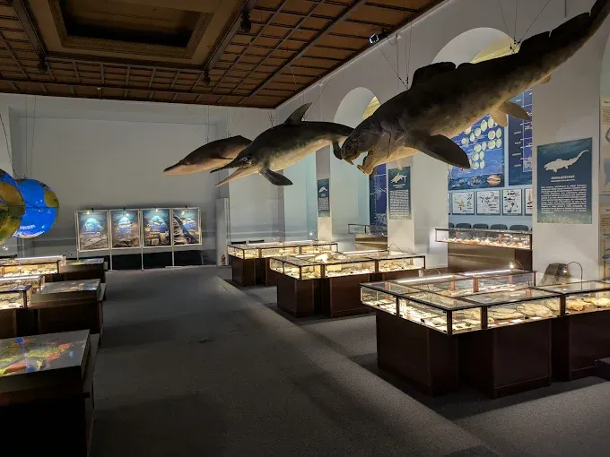 Muzeum Ewolucji w PKiN