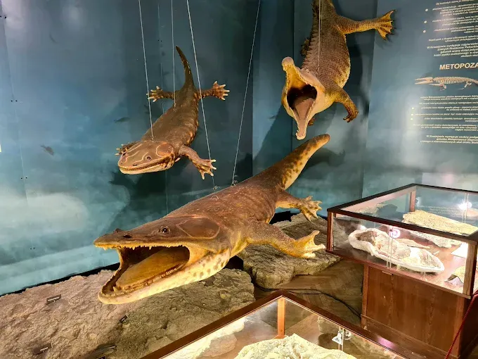 Muzeum Ewolucji w PKiN