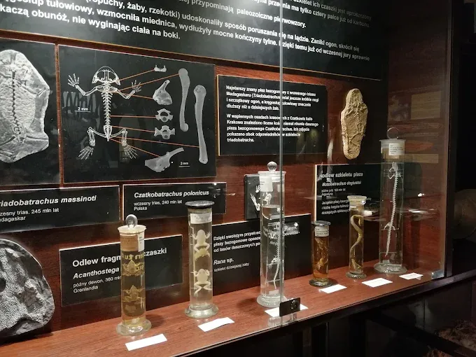 Muzeum Ewolucji w PKiN