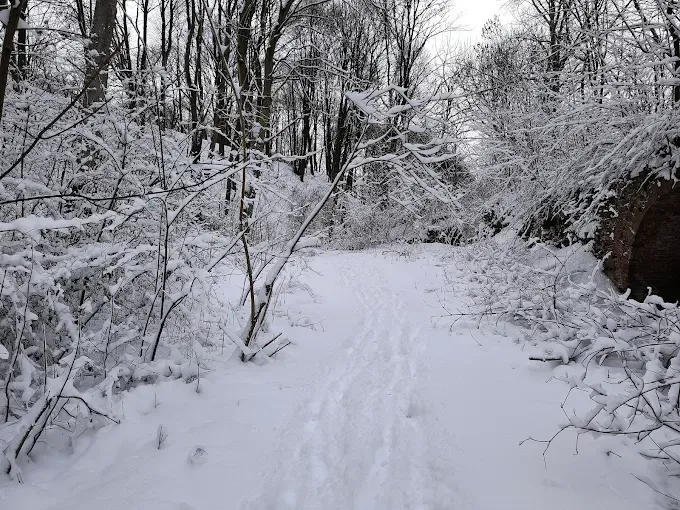 Park Żywej Historii