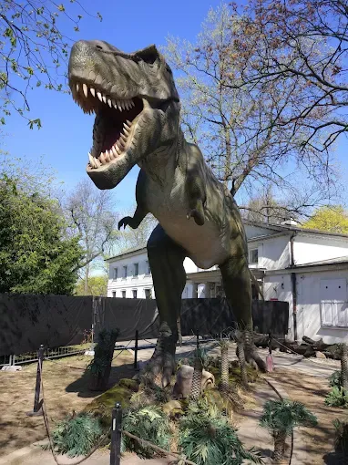 Polska Akademia Nauk Muzeum Ziemi w Warszawie