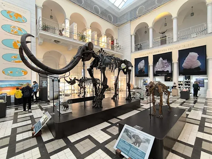 Muzeum Geologiczne Państwowego Instytutu Geologicznego - Państwowego Instytutu Badawczego