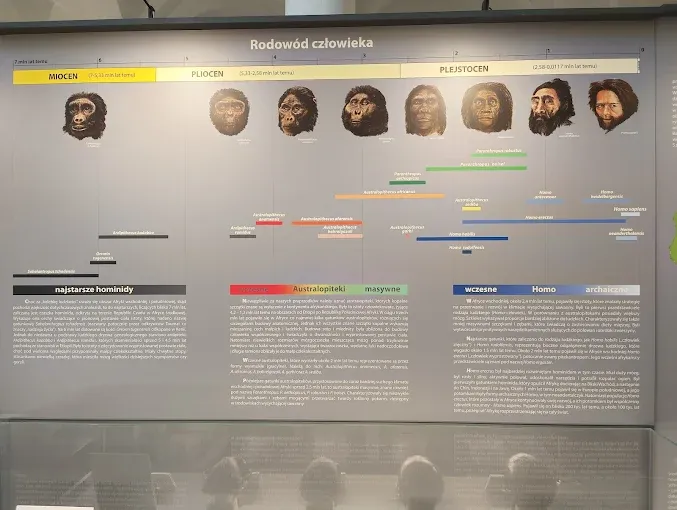 Muzeum Geologiczne Państwowego Instytutu Geologicznego - Państwowego Instytutu Badawczego