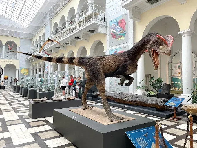 Muzeum Geologiczne Państwowego Instytutu Geologicznego - Państwowego Instytutu Badawczego