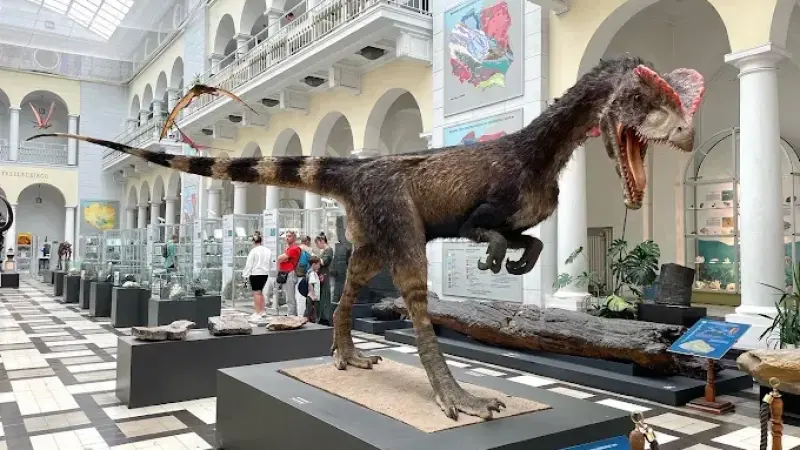Muzeum Geologiczne Państwowego Instytutu Geologicznego - Państwowego Instytutu Badawczego