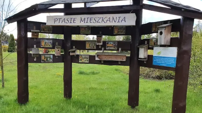 Park W Długosiodle