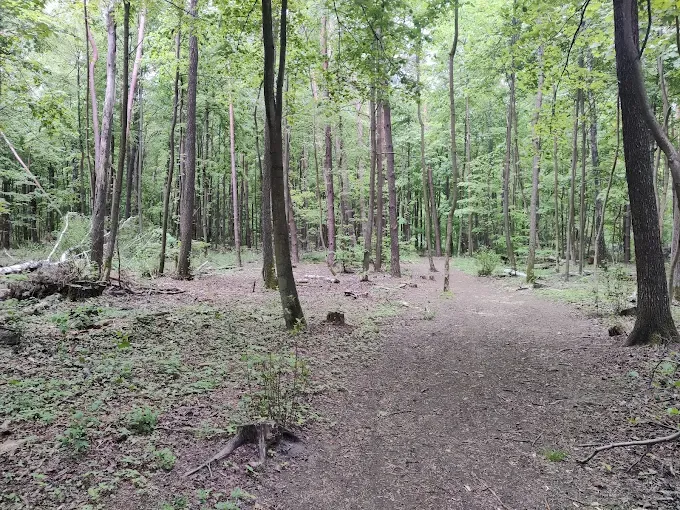 Ścieżka edukacyjna "Do Lipkowskiej Wody"