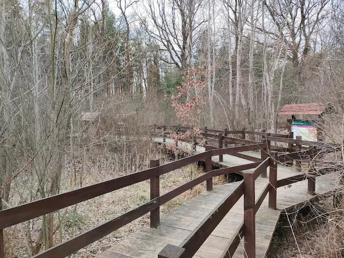 Ścieżka edukacyjna "Rezerwat Dębina"