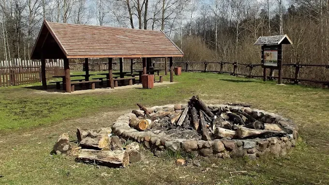 Ścieżka edukacyjna "Rezerwat Dębina"