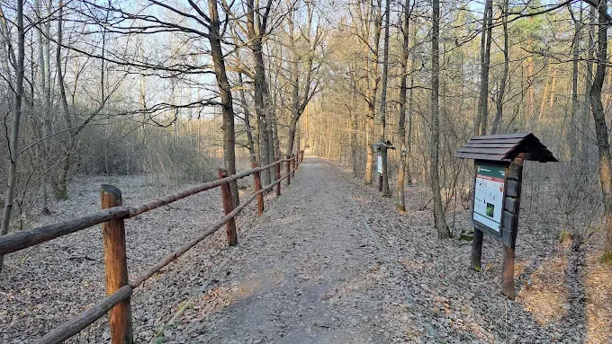 Ścieżka edukacyjna "Rezerwat Dębina"