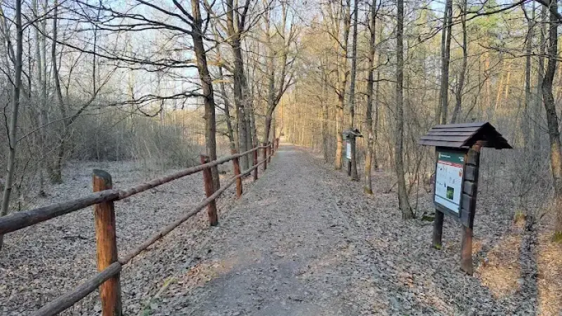 Ścieżka edukacyjna "Rezerwat Dębina"