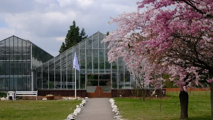 PAN Ogród Botaniczny – CZRB w Powsinie