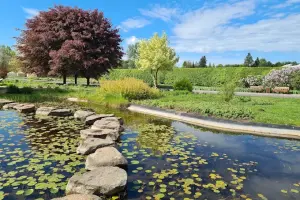 PAN Ogród Botaniczny – CZRB w Powsinie