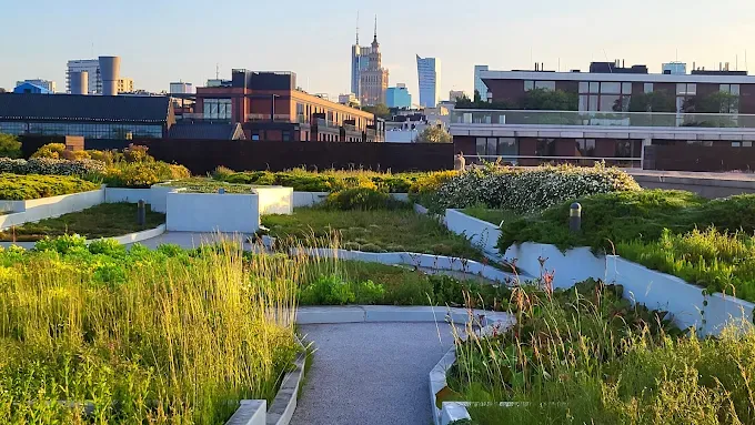 Ogród na dachu Centrum Nauki Kopernik