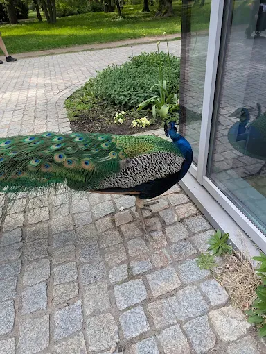 Ogród Pendereckiego