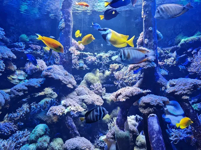 Miejski Ogród Zoologiczny im. Antoniny i Jana Żabińskich w Warszawie