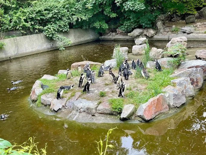 Miejski Ogród Zoologiczny im. Antoniny i Jana Żabińskich w Warszawie