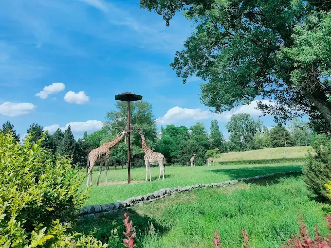 Miejski Ogród Zoologiczny im. Antoniny i Jana Żabińskich w Warszawie