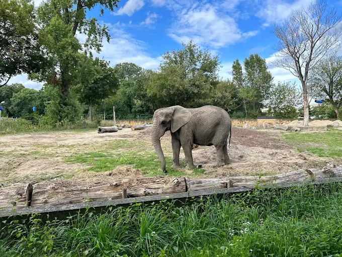 Miejski Ogród Zoologiczny im. Antoniny i Jana Żabińskich w Warszawie