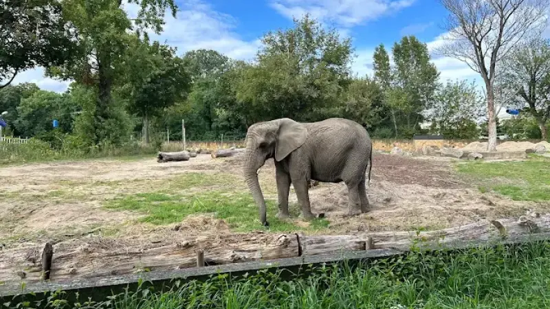 ZOO w Warszawie