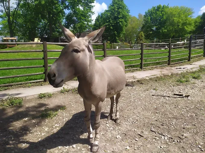 MIEJSKI OGRÓD ZOOLOGICZNY W PŁOCKU Sp. z o.o.