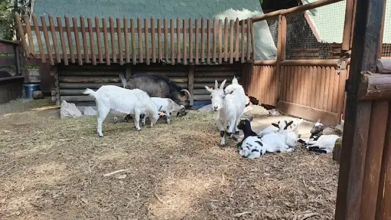 MIEJSKI OGRÓD ZOOLOGICZNY W PŁOCKU Sp. z o.o.