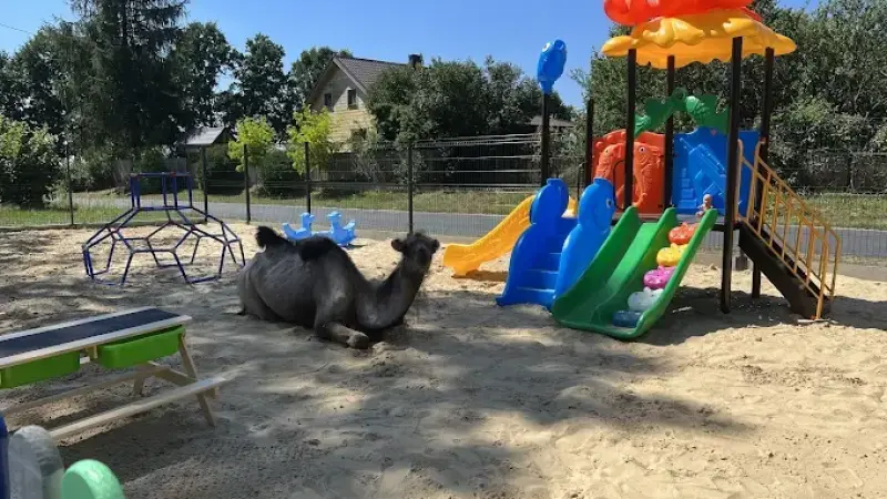 MiniZooPark Walim