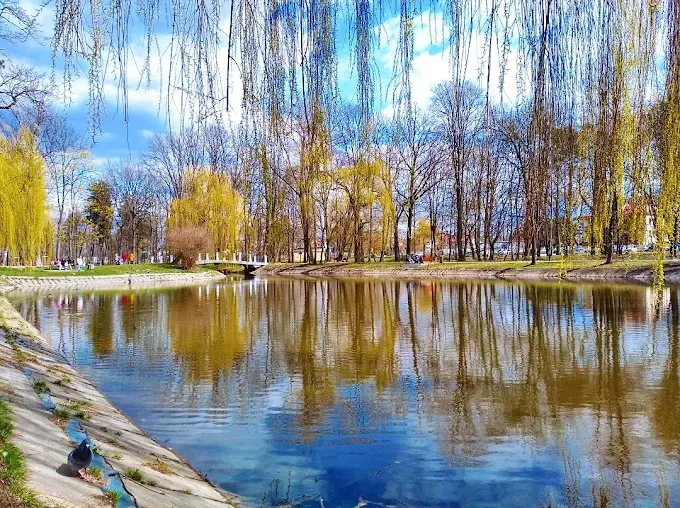 Park Dernałowiczów