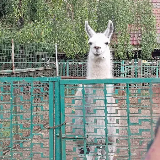 Farma Pony i Muzeum z PRL-u