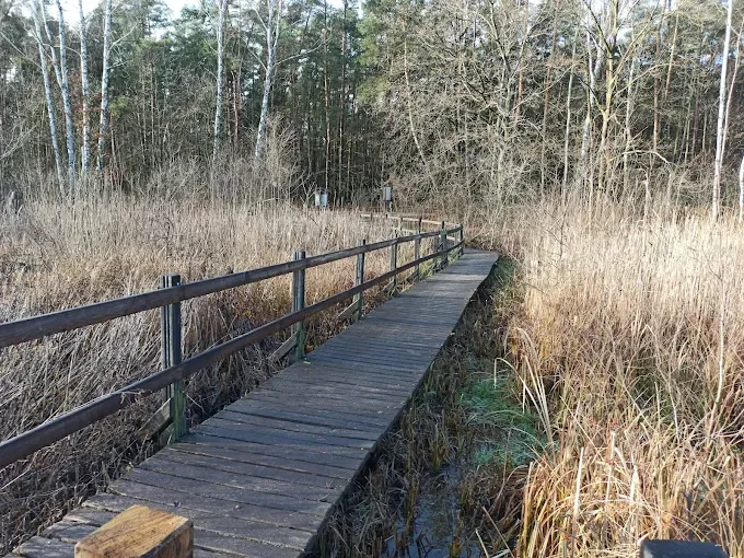 Rezerwat przyrody Na Torfach im. Janusza Kozłowskiego w Karczewie